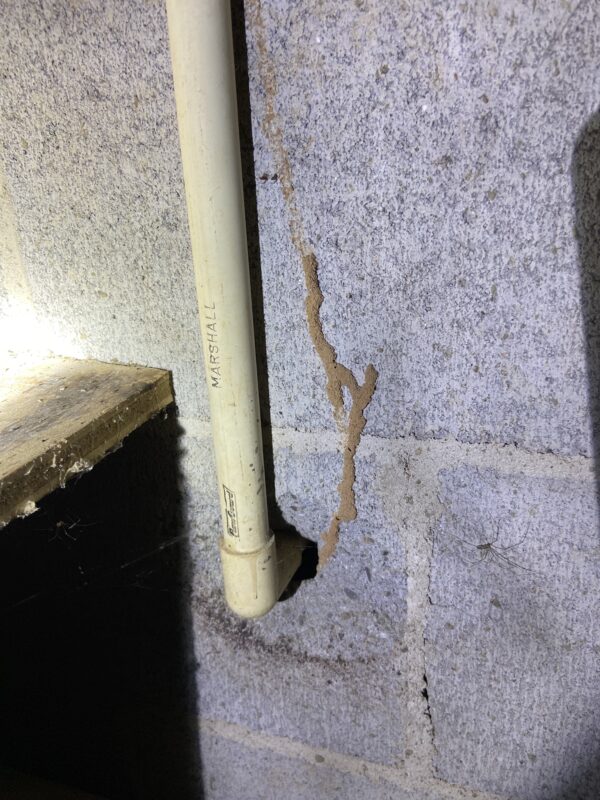 Pest Control Athens GA Best Bed Bug, Mosquito, Termite Exterminator