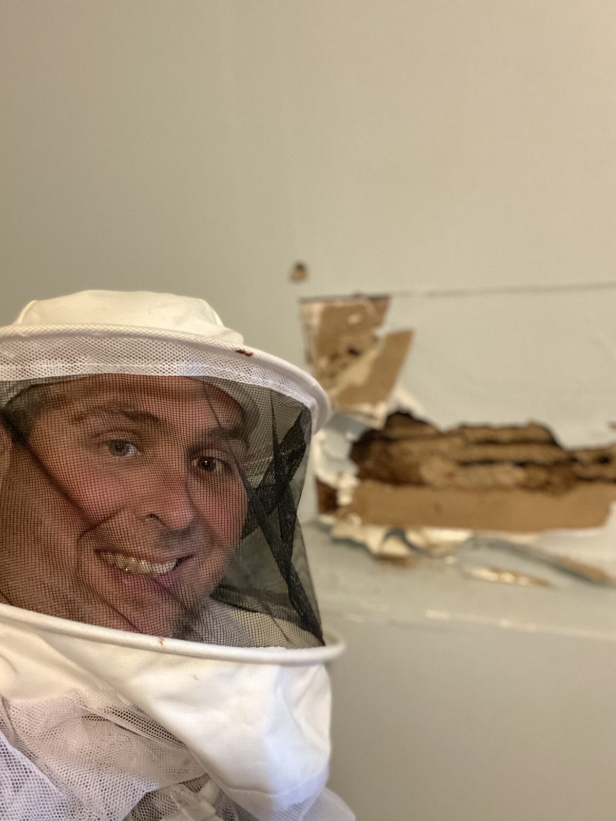 Pest Removal Treatments Athens GA Best Pest Control & Exterminator