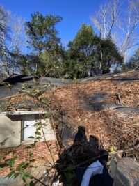 Athens GA Pest Control Service