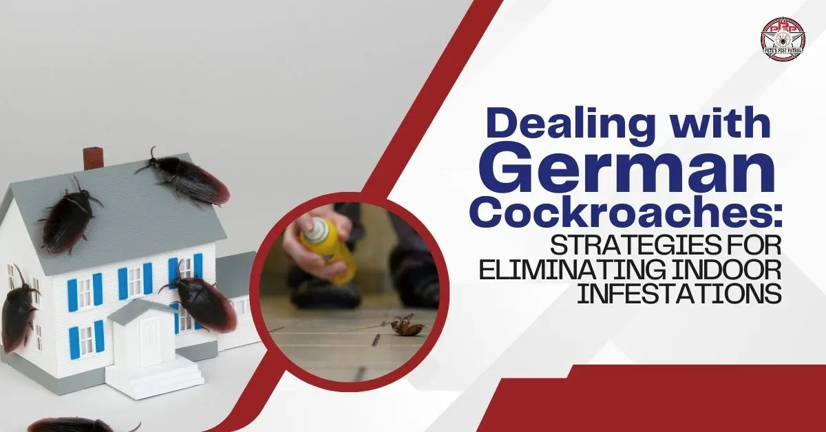Dealing with German Cockroaches: Strategies for Eliminating Indoor Infestations