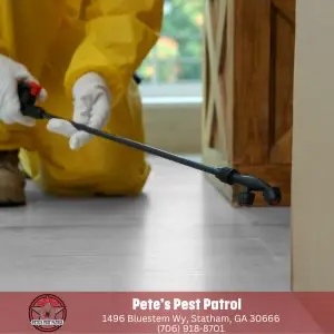 Do pest infestations require professional help