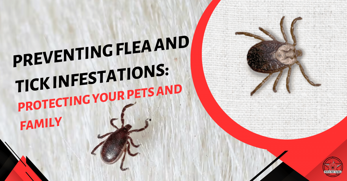 Preventing Flea and Tick Infestations Protecting Your Pets and Family