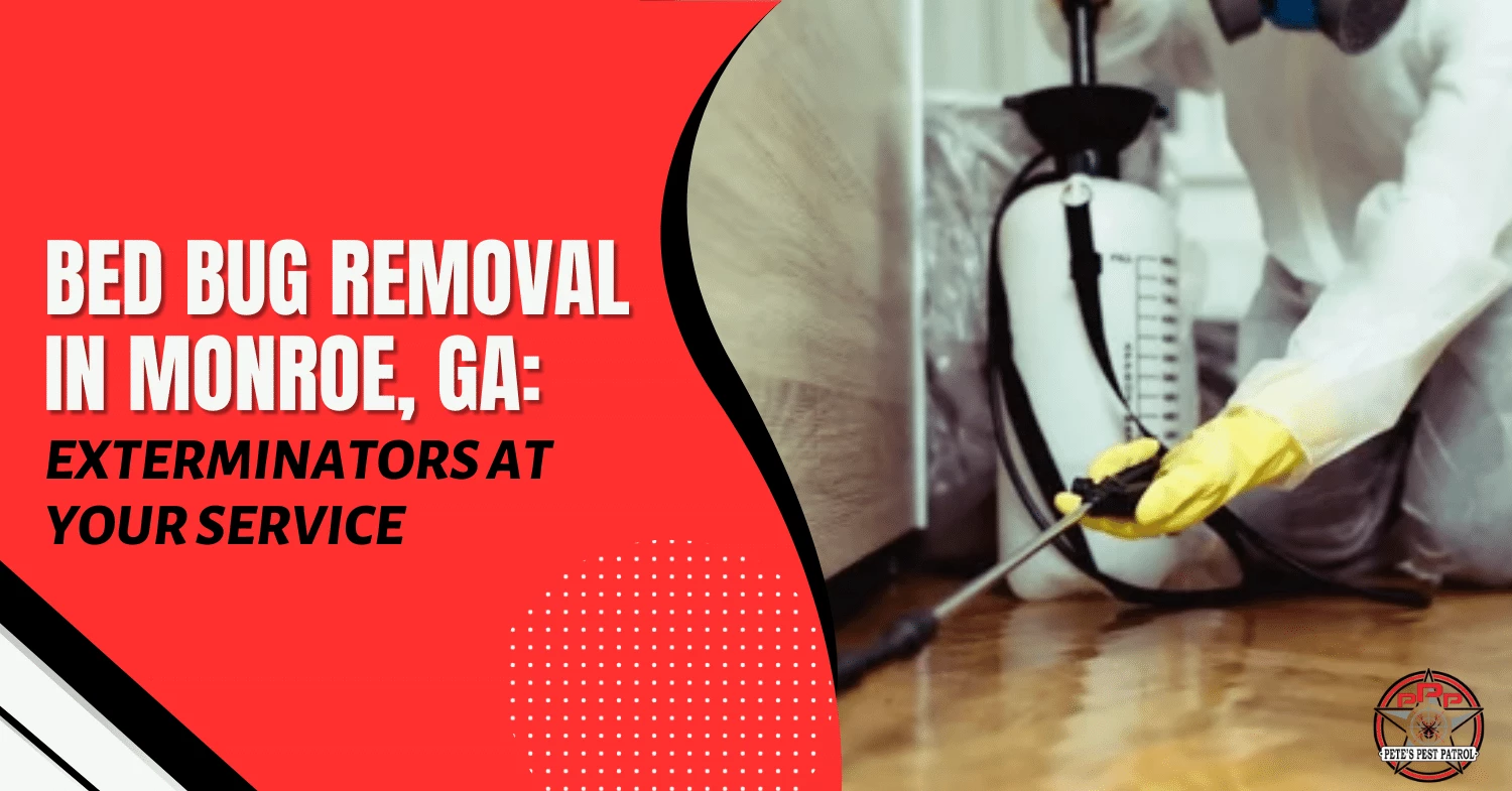 Bed Bug Removal in Monroe, GA Exterminators at Your Service