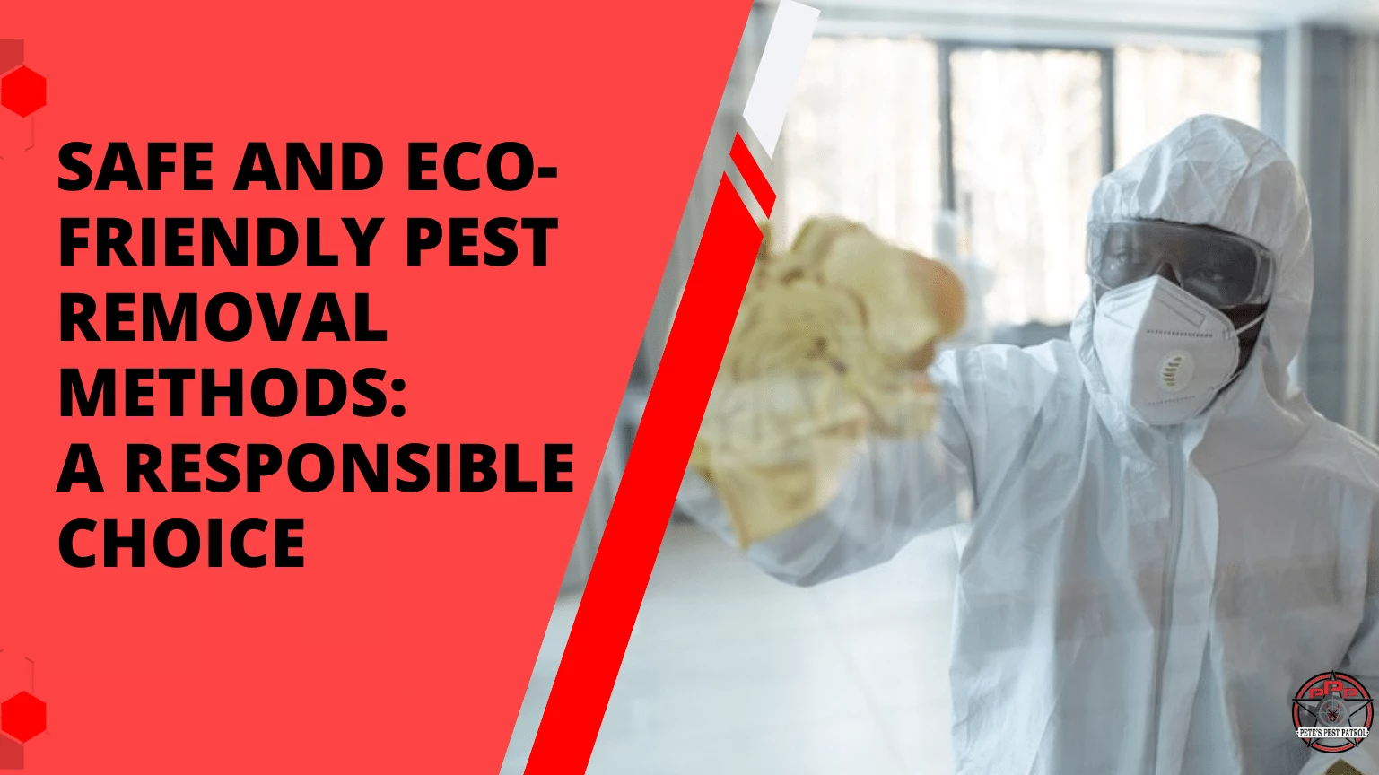 Safe and Eco-Friendly Pest Removal Methods A Responsible Choice