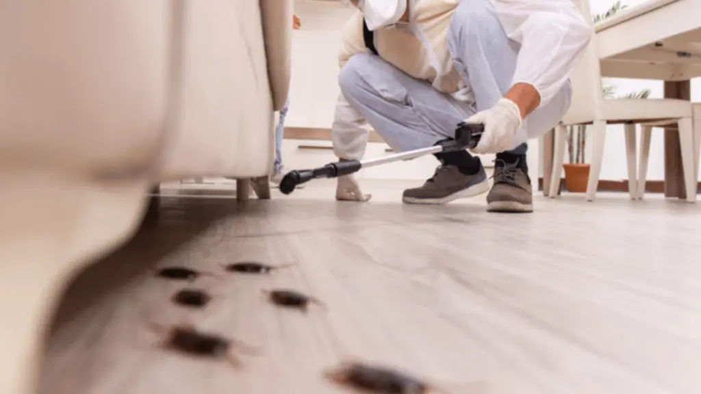 Specialized Pest Control Services for Loganville, GA Residents