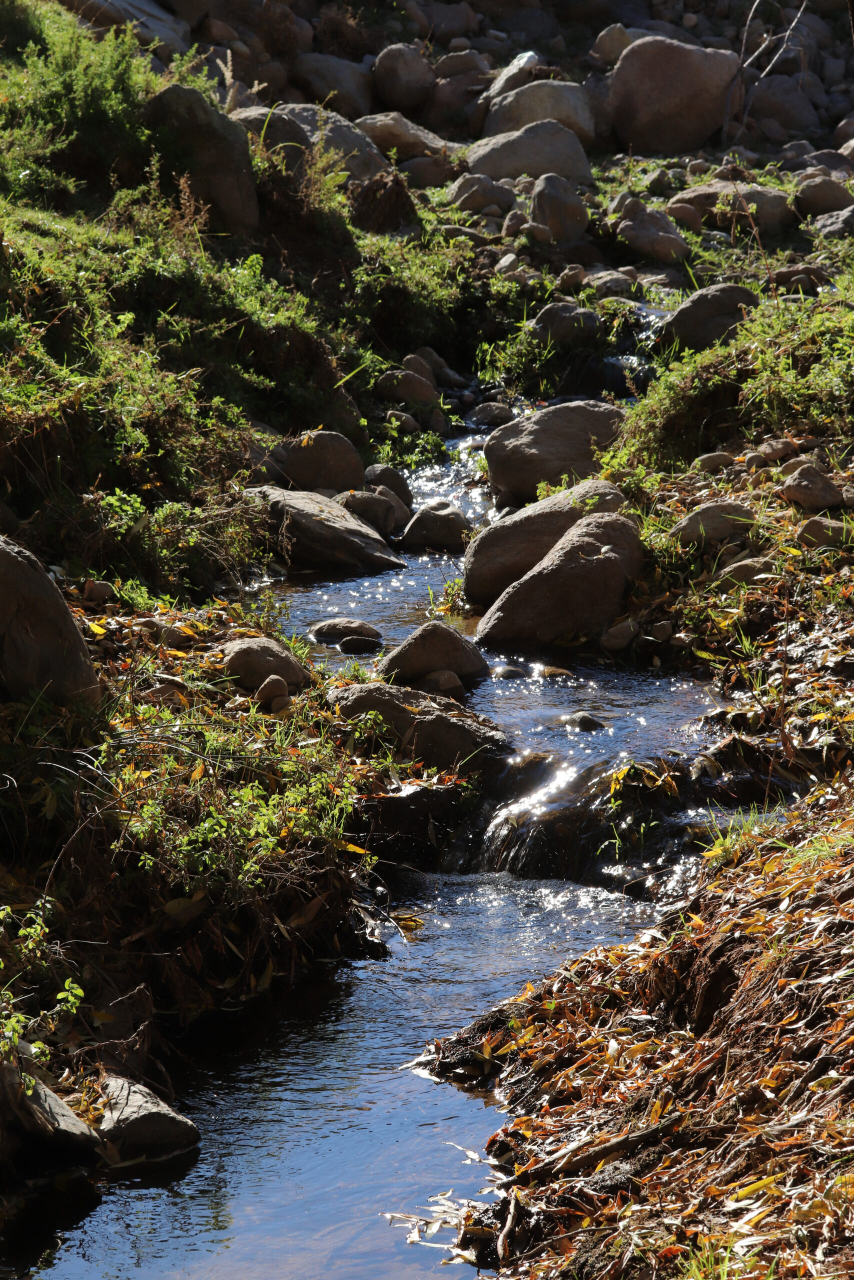 Mountain stream in the autumn that could be contaminated with pesticides