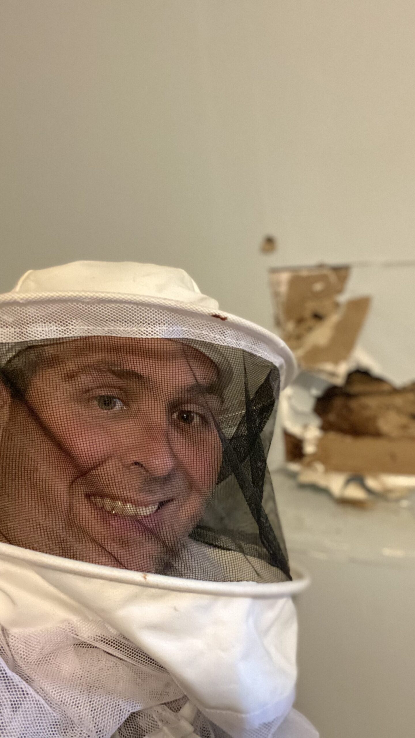 Termite Removal Service