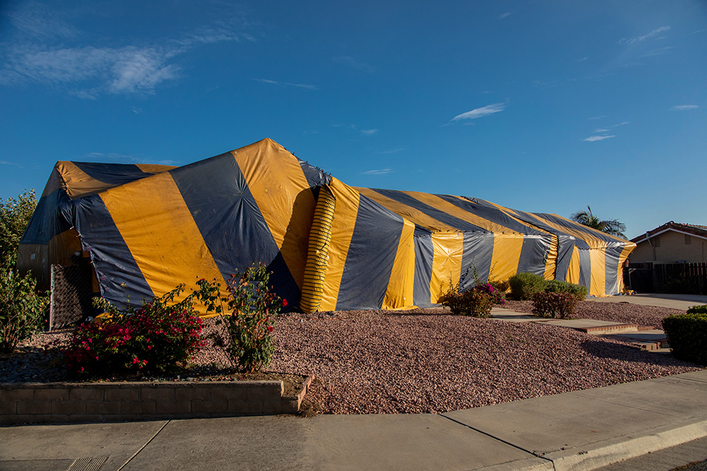Large striped tent covering suburban house