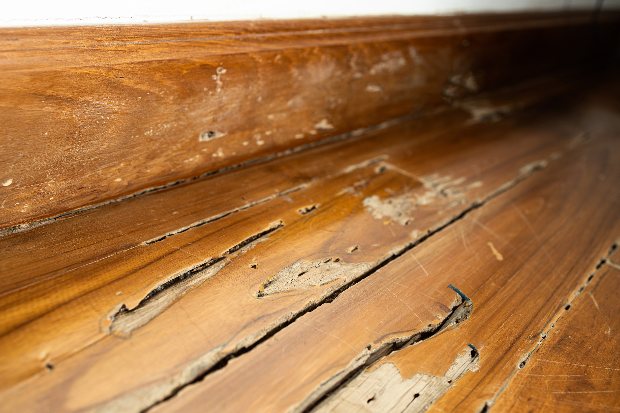 Damaged wooden floorboards with cracks and termite holes